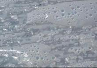 圖片關(guān)鍵詞 圖片關(guān)鍵詞